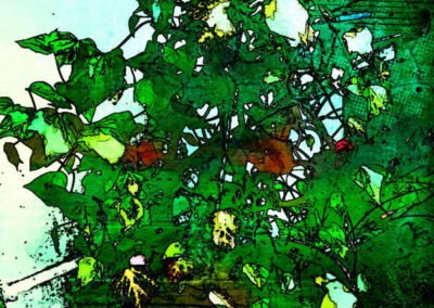 Alain Cabot Abstraction végétale 2 / 2022 / technique mixte sur toile 50x50cm / prix de vente 800€.