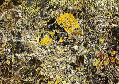 Alain Cabot, Abstraction végétale dite "Variations" / 2022 / technique de transfert sur toile retravaillée à l’encre de Chine et avec des encres de couleur / 100x100cm / prix 4000€